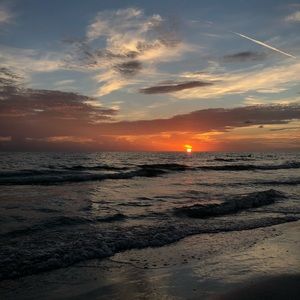 Meet your Posher, Livia